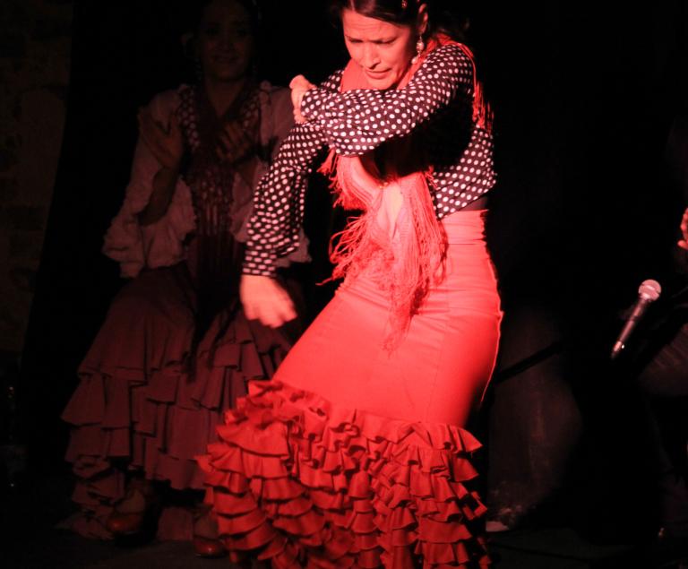 El Pasaje Flamenco